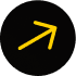Seta